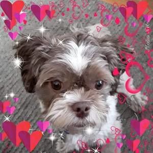 Meet your Posher, Debra